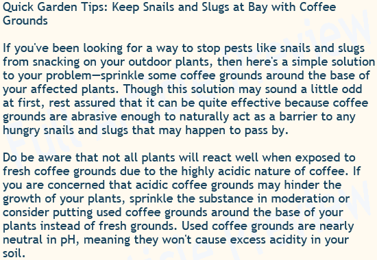 Buy this gardening article about coffee and garden pests for your website, newsletter, or blog.