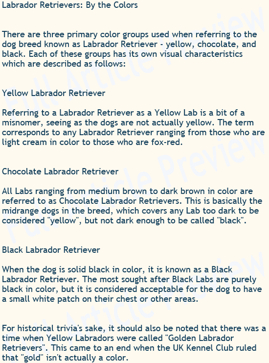 Buy online articles about Labrador Retrievers.