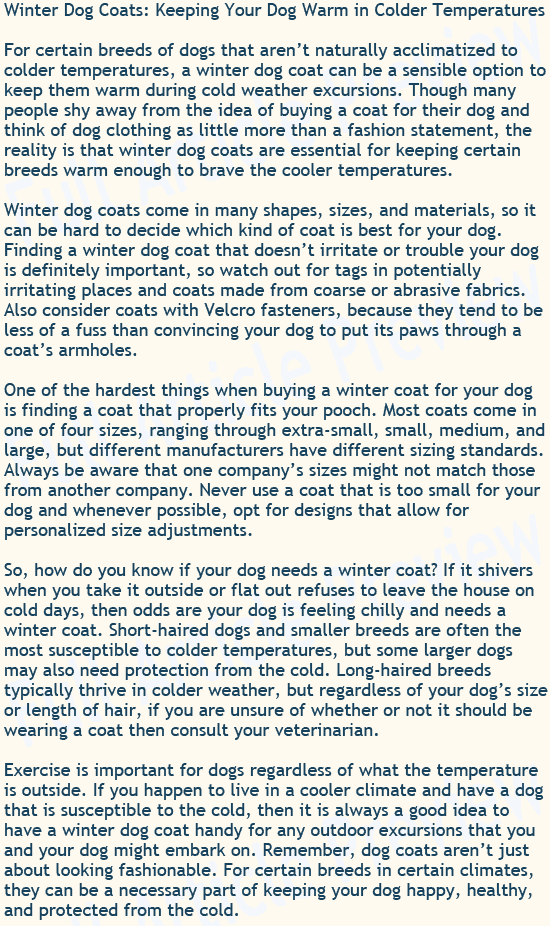 Buy this article about winter dog coats for your website or blog.